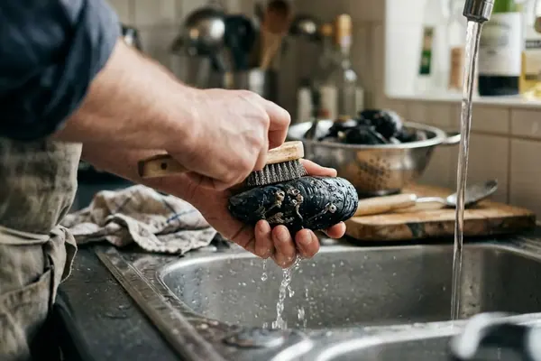 How to Select and Clean Fresh Mussels at Home